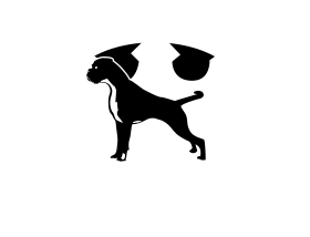 Royaume de Sky